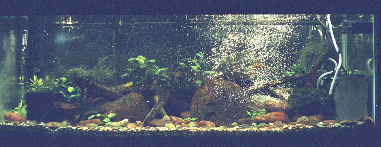 River-Tank setup in Canada